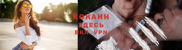 мяу мяу мука Аркадак