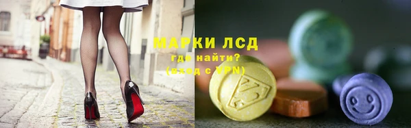 мяу мяу мука Аркадак
