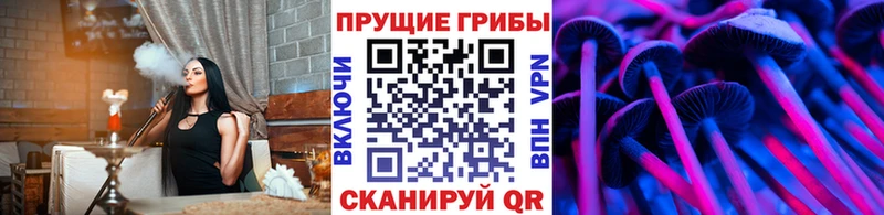 как найти Канаш Галлюциногенные грибы MAGIC MUSHROOMS